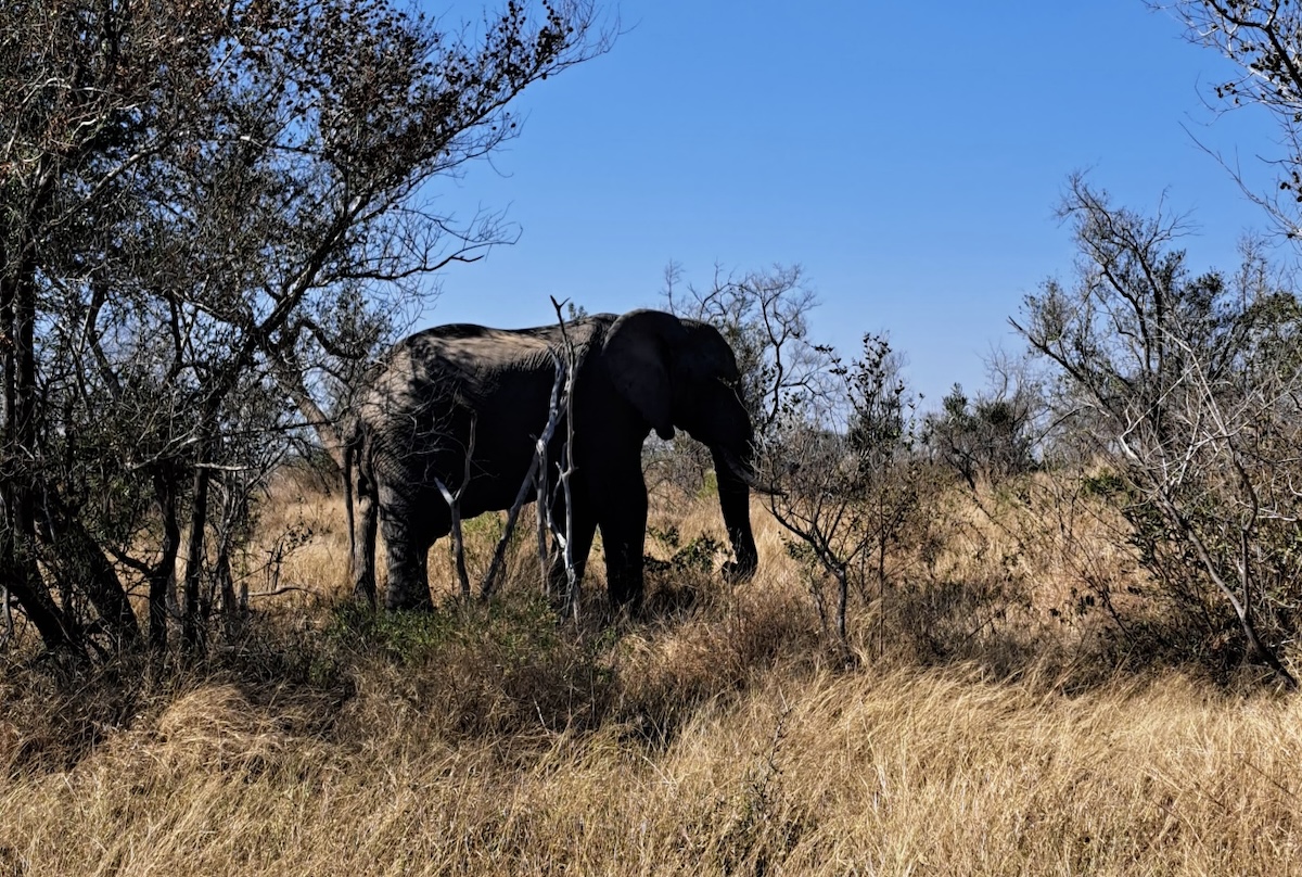 Kruger National Park