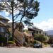 Carmel Shops