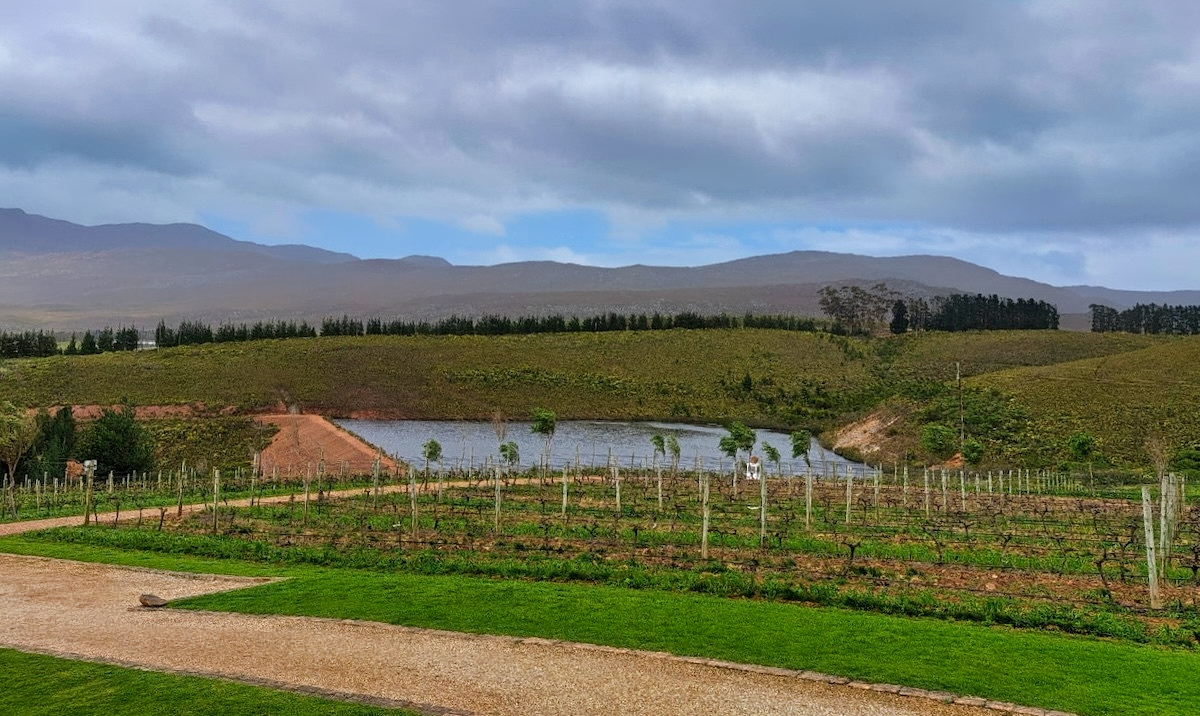 Vineyards in the Hemel en Aarde Valle