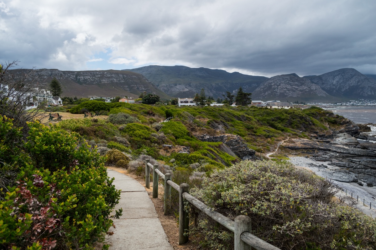 Walking Trail in Hermanus