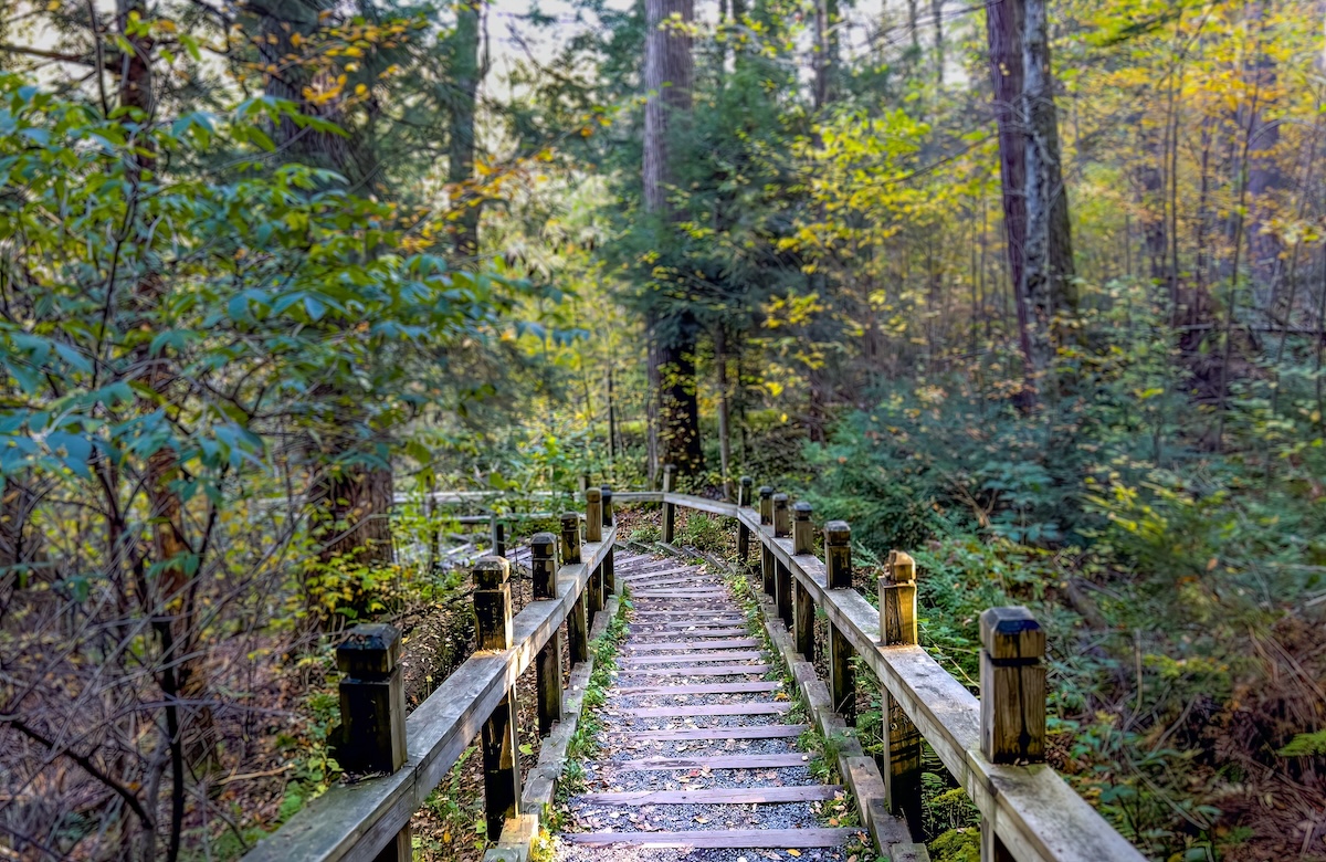 Canyon Trail