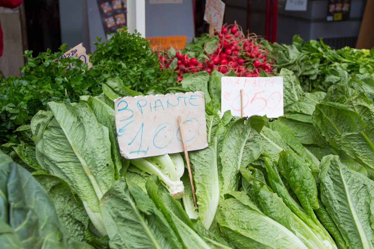 Farmers Market