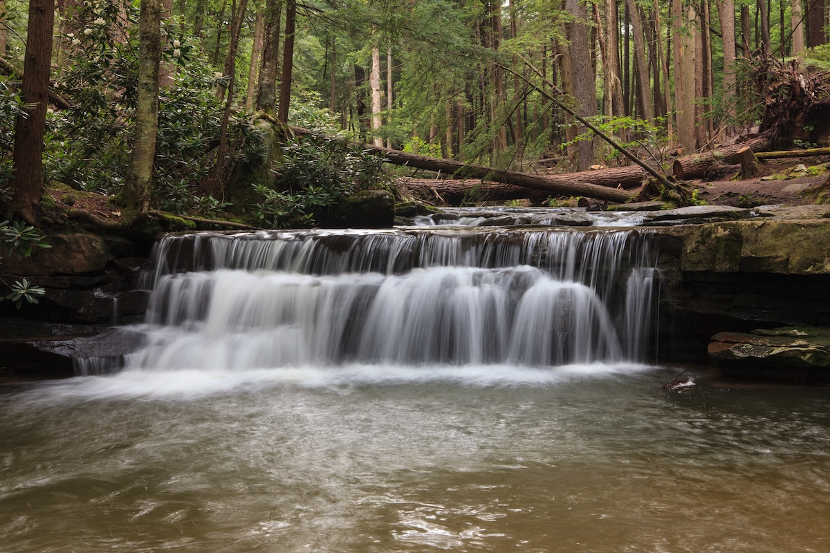 Tolliver Falls