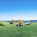 Wine Tasting in Finger Lakes