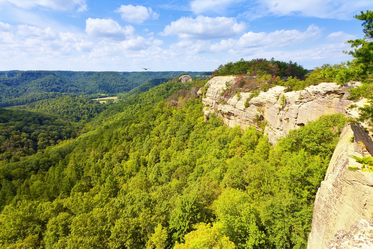 Red River Gorge in Kentucky