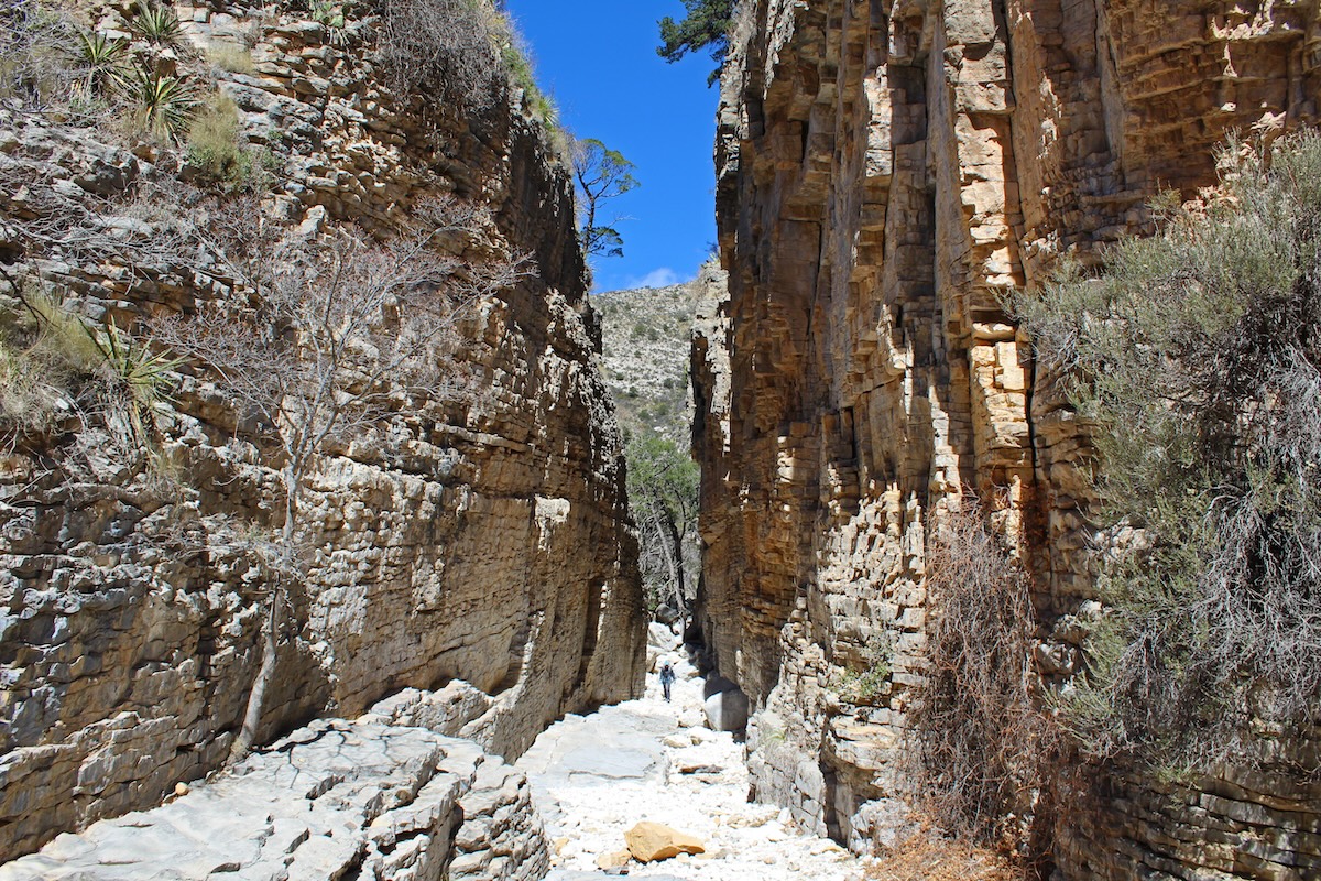 Guadalupe Mountains National Park