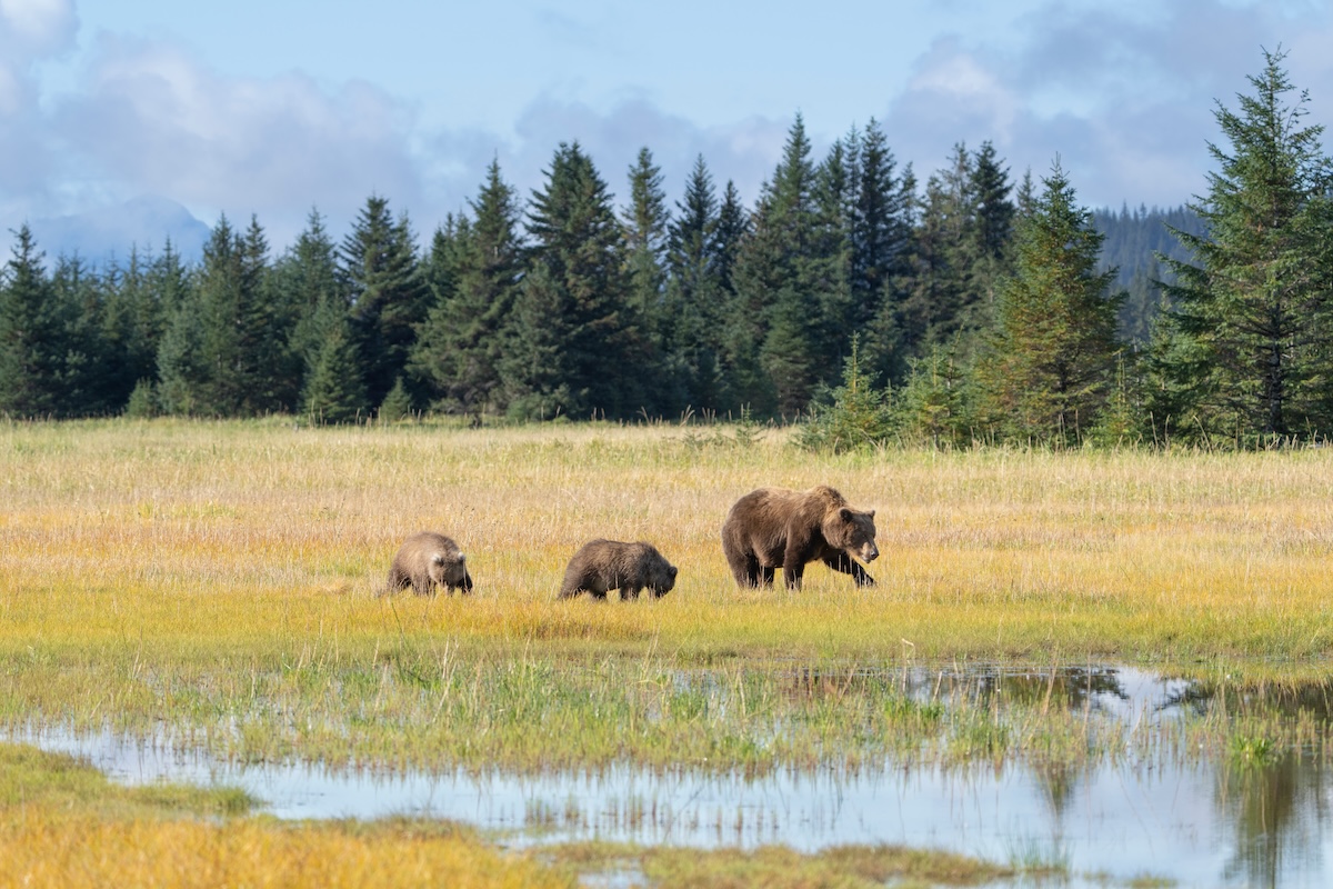 Lake Clark National Park