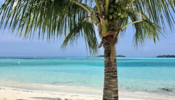 Maldivian Beaches