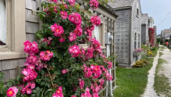 Nantucket