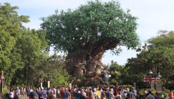 Disney's Animal Kingdom