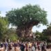Disney's Animal Kingdom