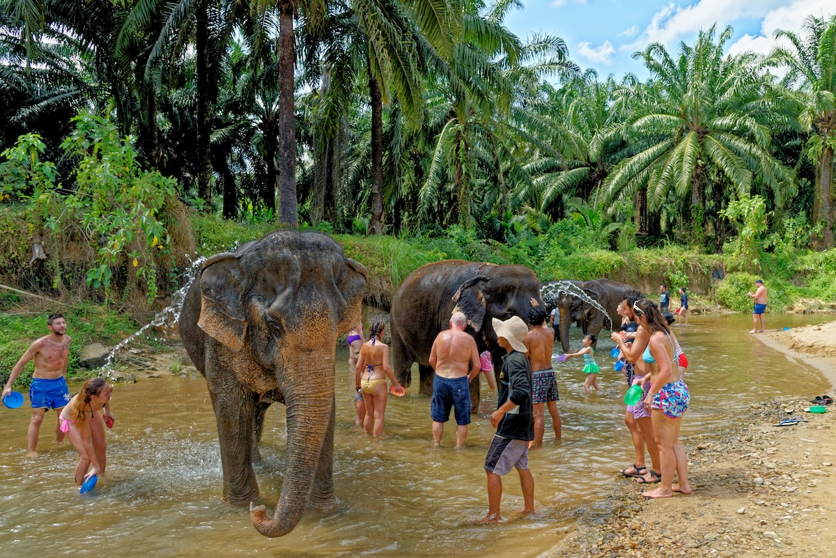 Elephant Sanctuary