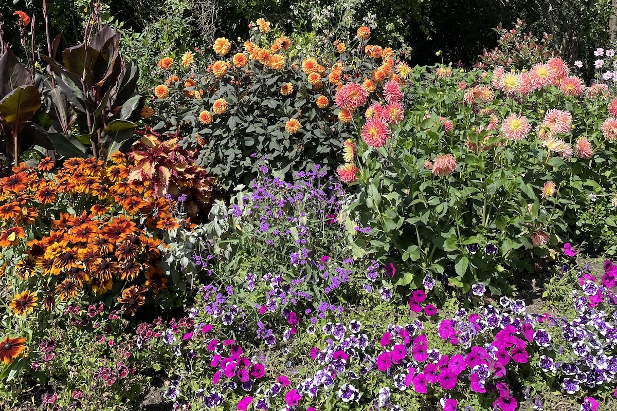 Park Flowers