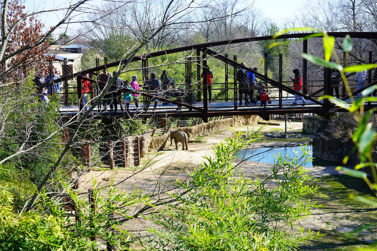Smithsonian's National Zoo