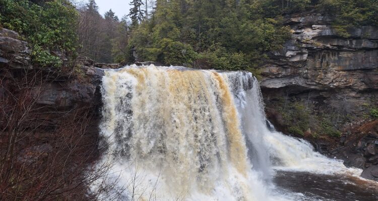 Blackwater Falls