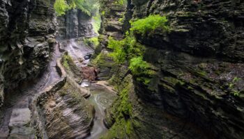 Gorge Trail