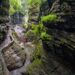 Gorge Trail