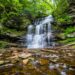 Ricketts Glen State Park