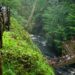 Bushkill Falls