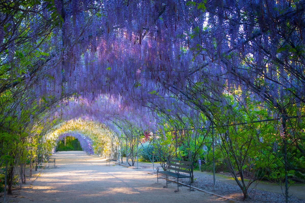 25 Most Beautiful Botanical Gardens In The World (+Photos) - Touropia