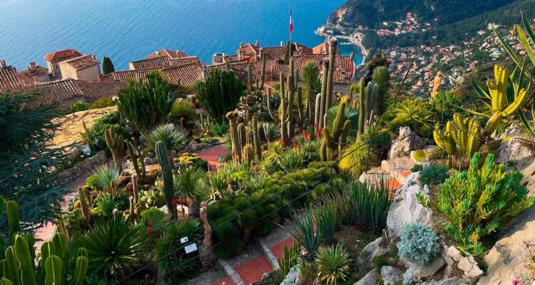 Jardin Exotique d'Eze