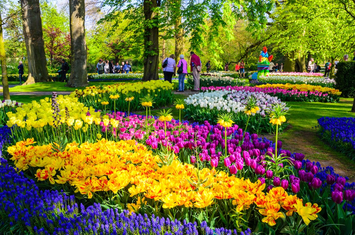 Keukenhof Gardens