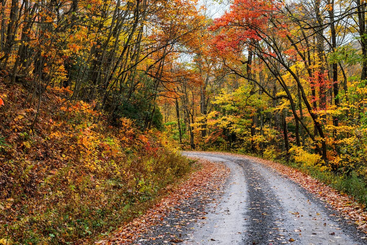Monongahela National Forest
