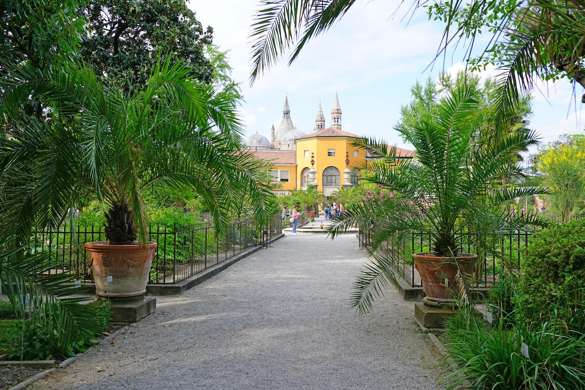 Padua Botanical Garden
