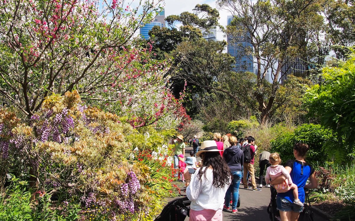 Royal Botanic Garden, Sydney