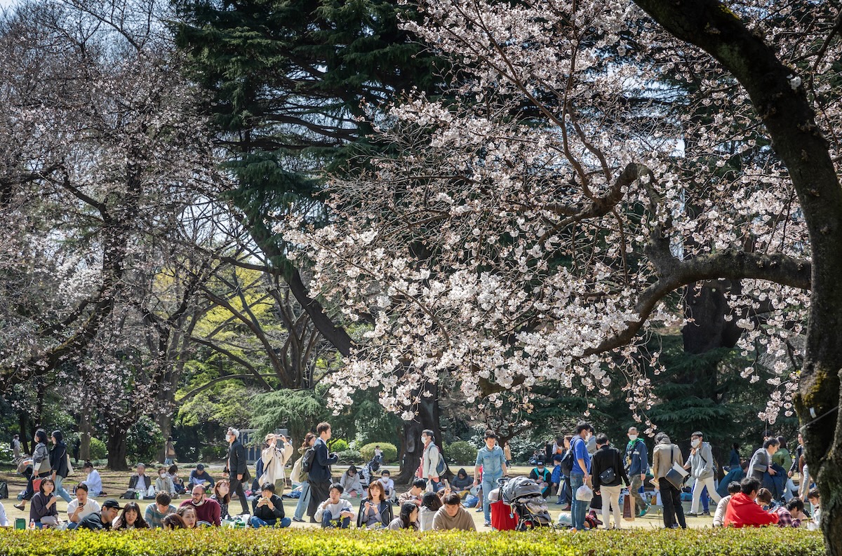 Shinjuku Gyoen National Garden