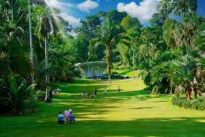 Singapore Botanic Gardens