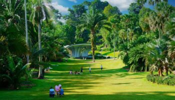 Singapore Botanic Gardens