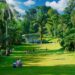 Singapore Botanic Gardens
