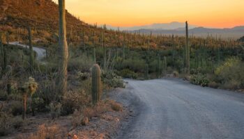 Arizona