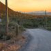 Arizona