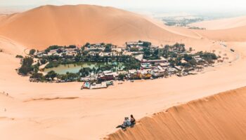 Desert Oasis