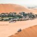 Desert Oasis
