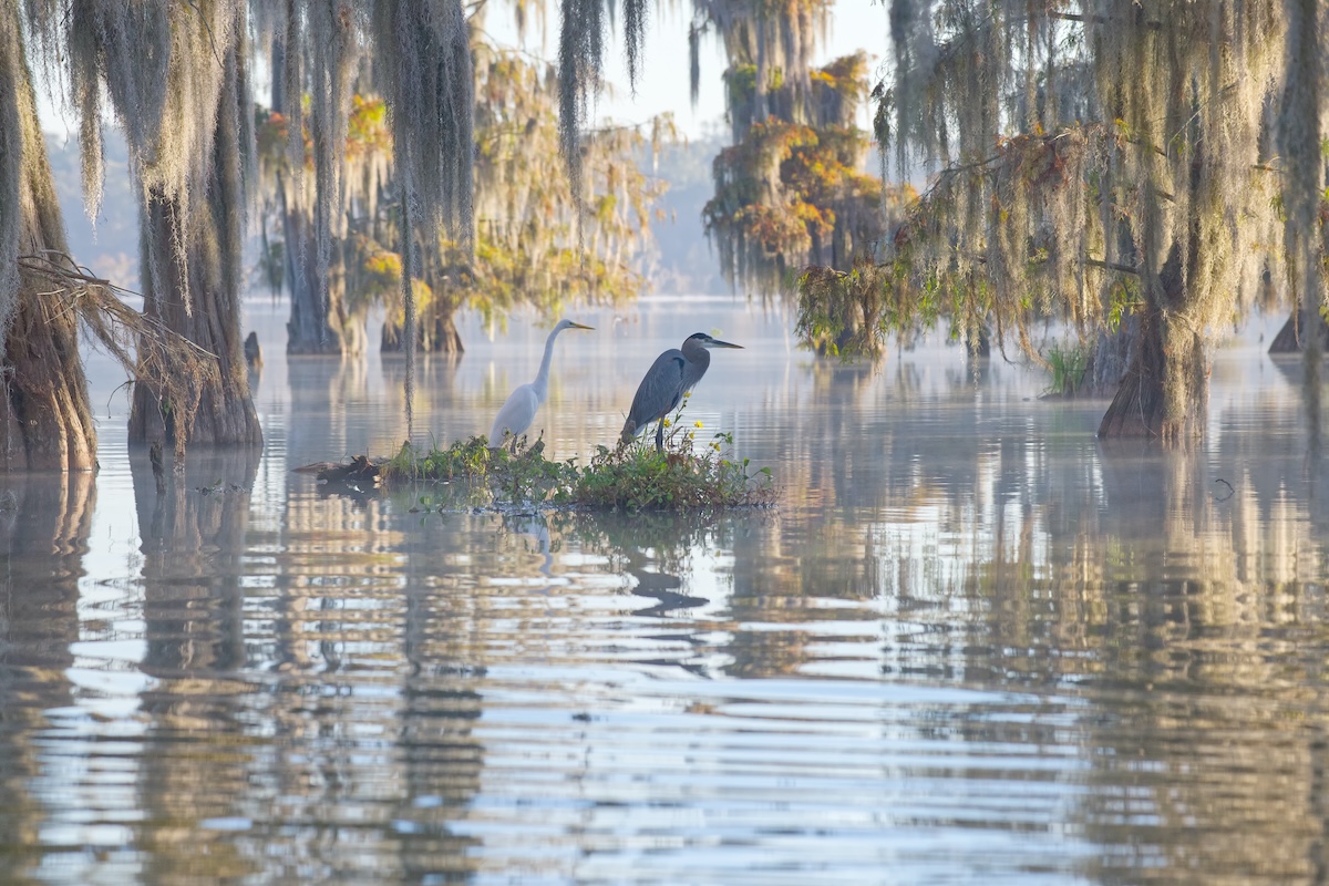 Louisiana
