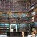 Royal Portuguese Cabinet