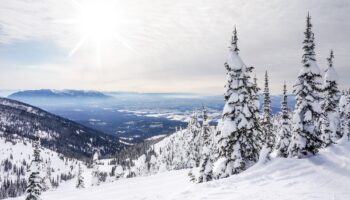 Whitefish