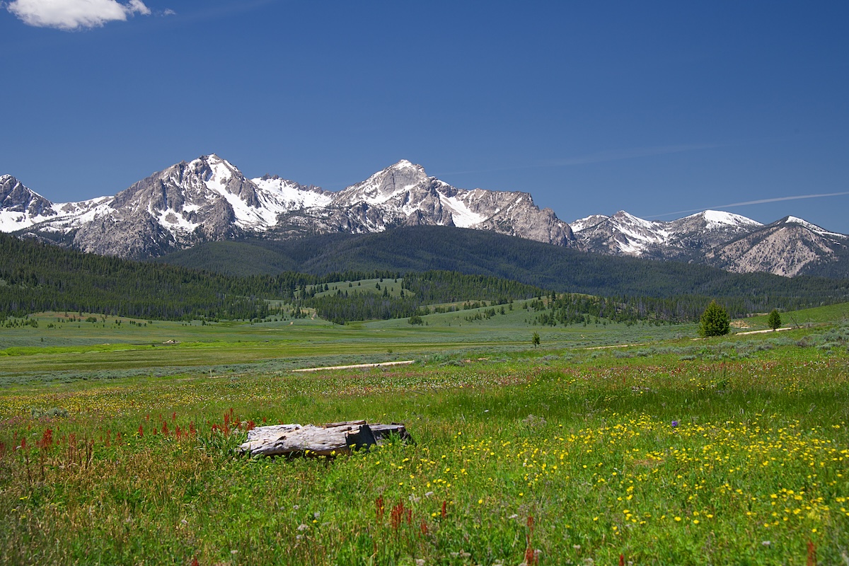 Idaho
