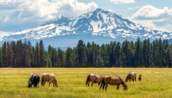 Oregon