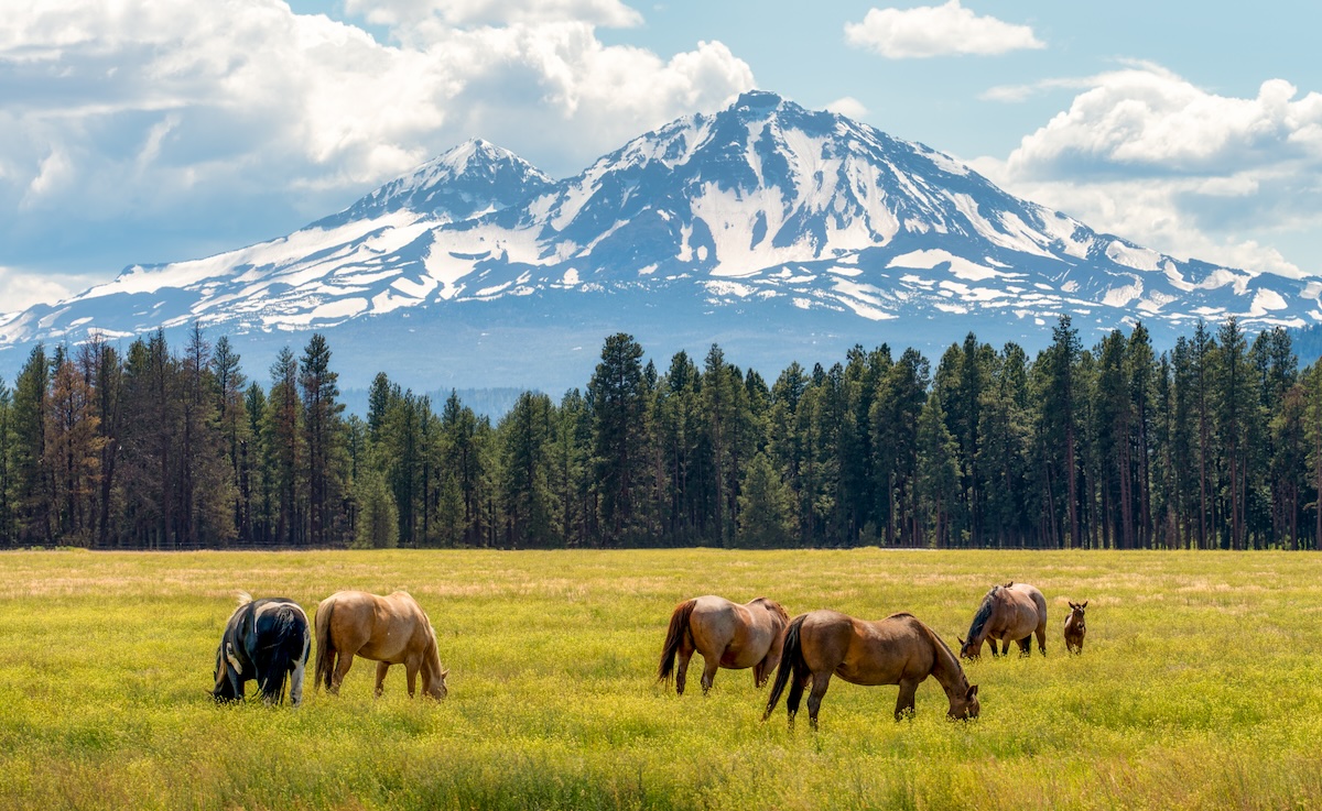 Oregon