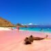 Pink Beach