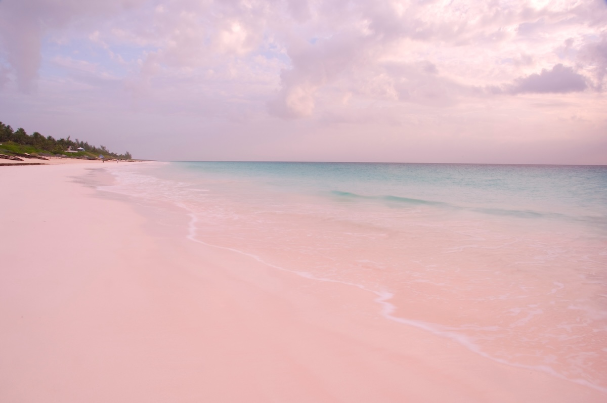 Pink Sands Beach