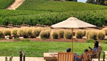 Sonoma County