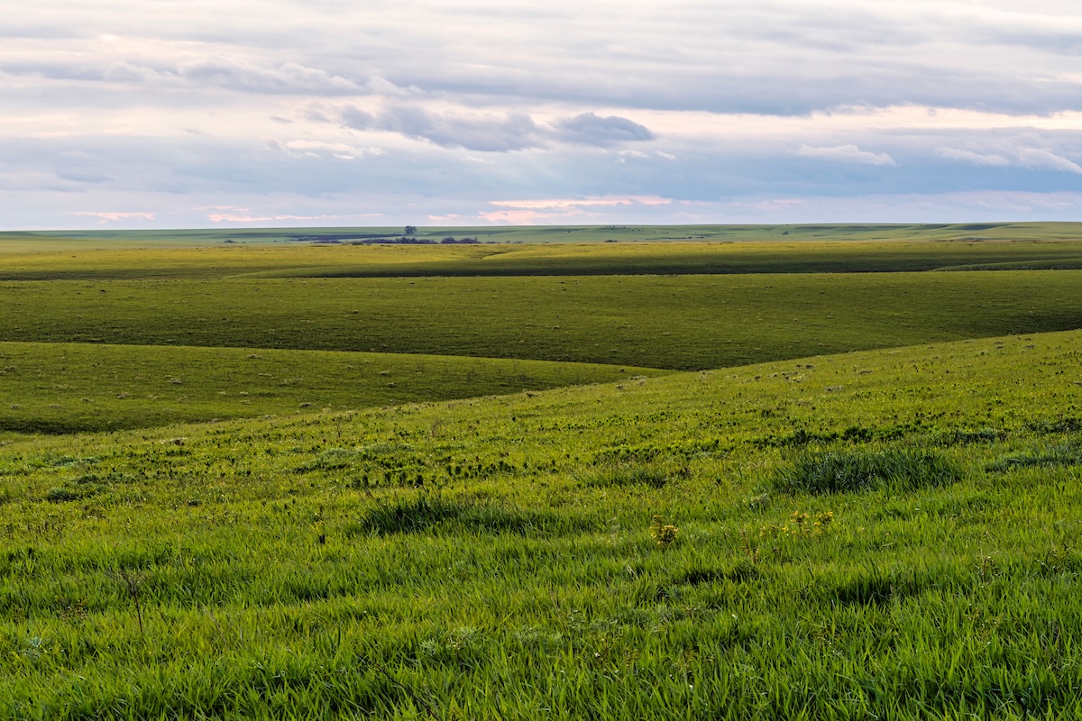 Kansas