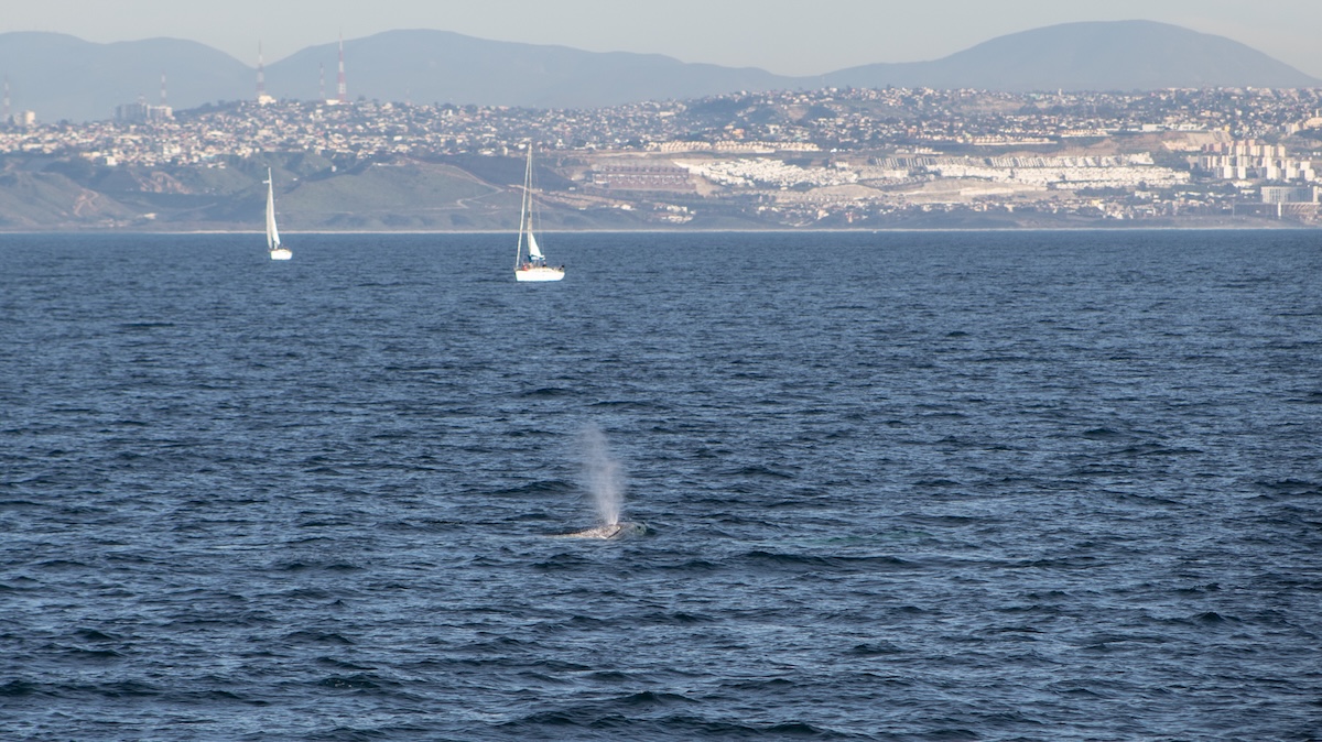 San Diego
