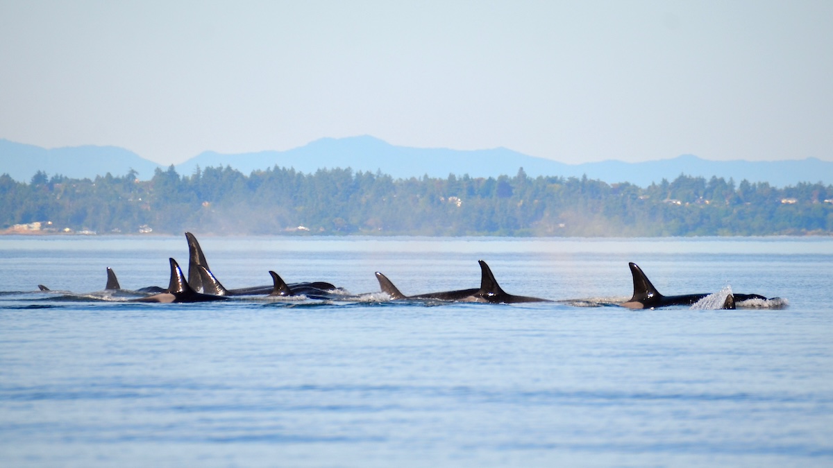San Juan Islands