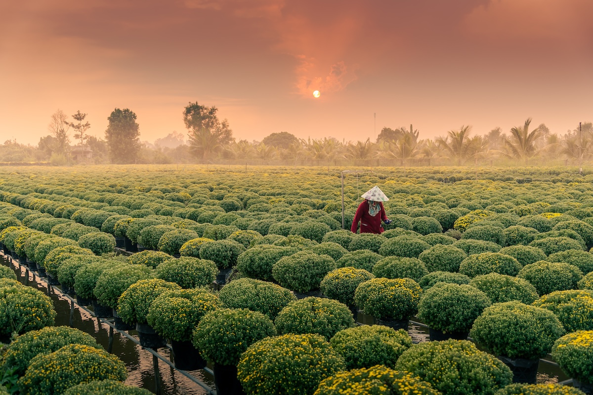 South Vietnam